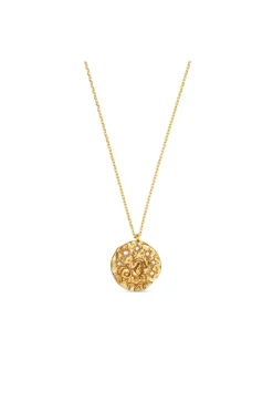 Capricorn Zodiac Necklace Pale Gold