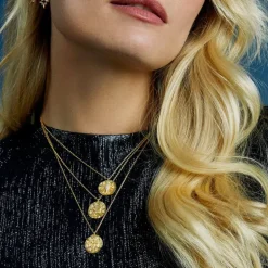 Capricorn Zodiac Necklace Pale Gold