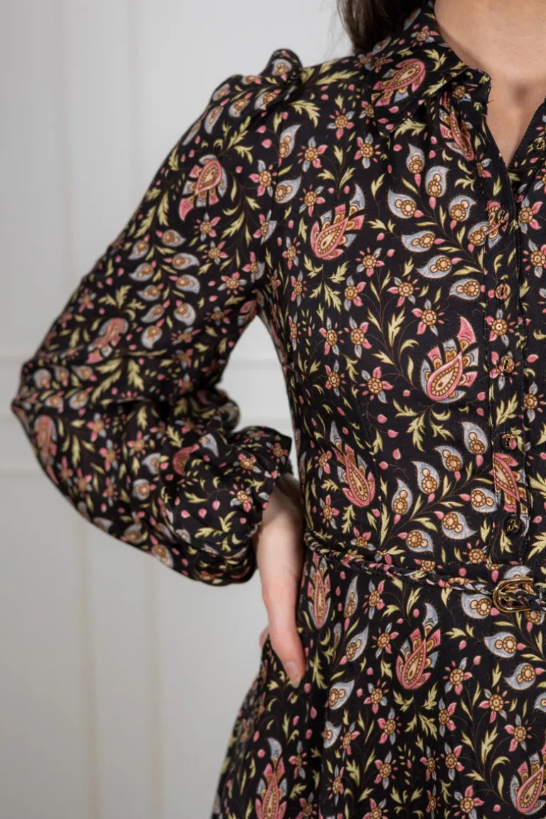 Striped Collared Midi Dress Petite Paisley